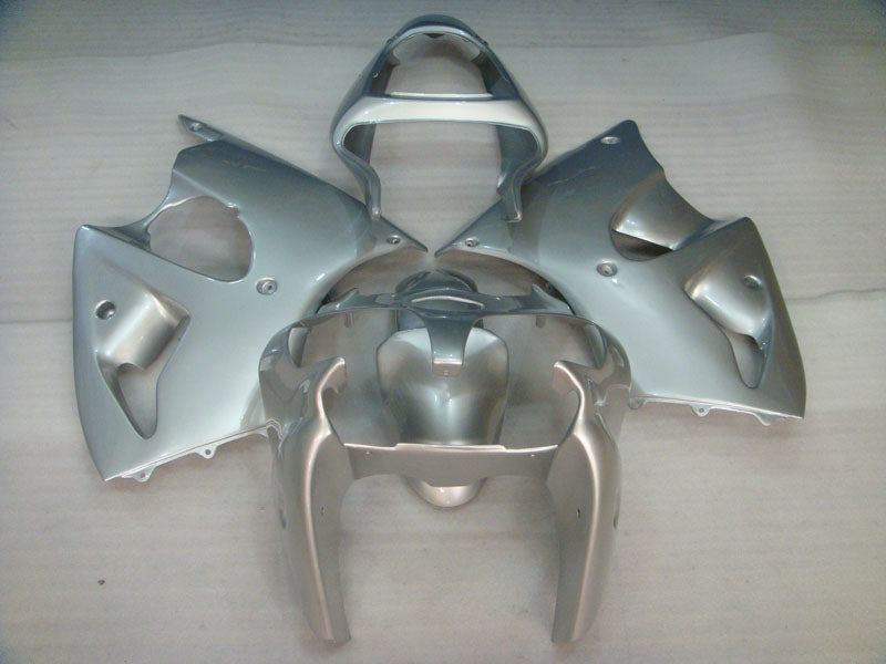 Silber, keine Aufkleber – NINJA ZX-6R 00–02 Verkleidungssatz