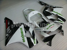 Bild in der Galerieansicht laden, White and Black HANN Spree - CBR 954 RR 02-03 Fairing Kit