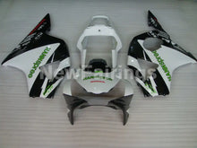 Bild in der Galerieansicht laden, White and Black HANN Spree - CBR 954 RR 02-03 Fairing Kit